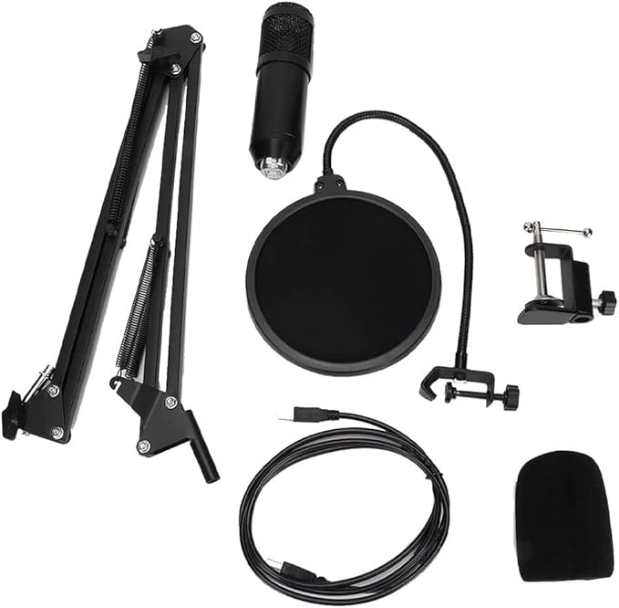 Professional condenser Micrphone