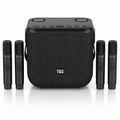 Dual mic portable speaker
