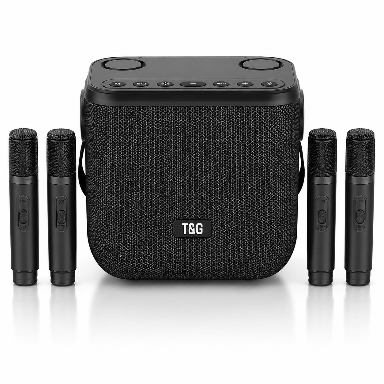 Dual mic portable speaker