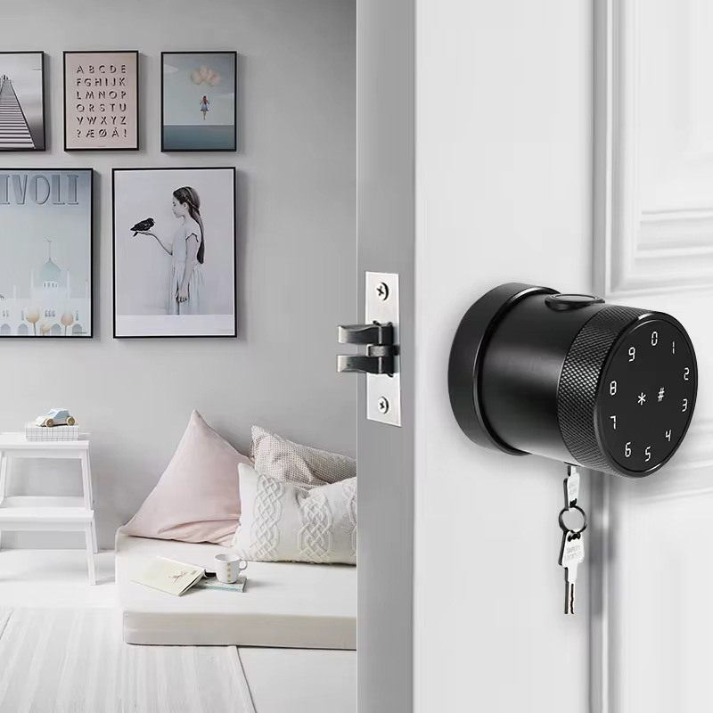 Smart Door Lock Fingerprint with Keypad Tuya App IC Card Mechanical Key for Glass/Aluminum Doors